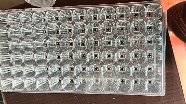 草莓视频官方网站育苗盘片材